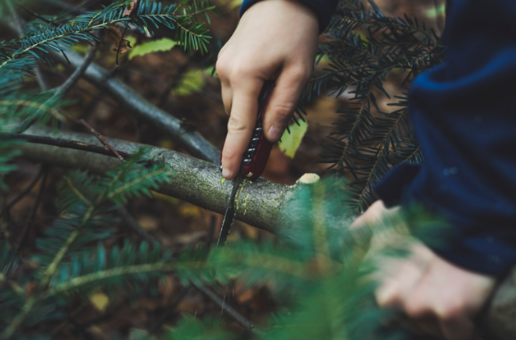 Field Survival Essentials