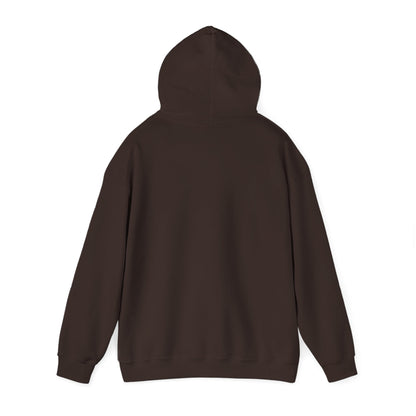 Retro 'Nacho Overland & Outdoor' Hoodie – Vintage Stripes Outdoor Adventure Sweatshirt