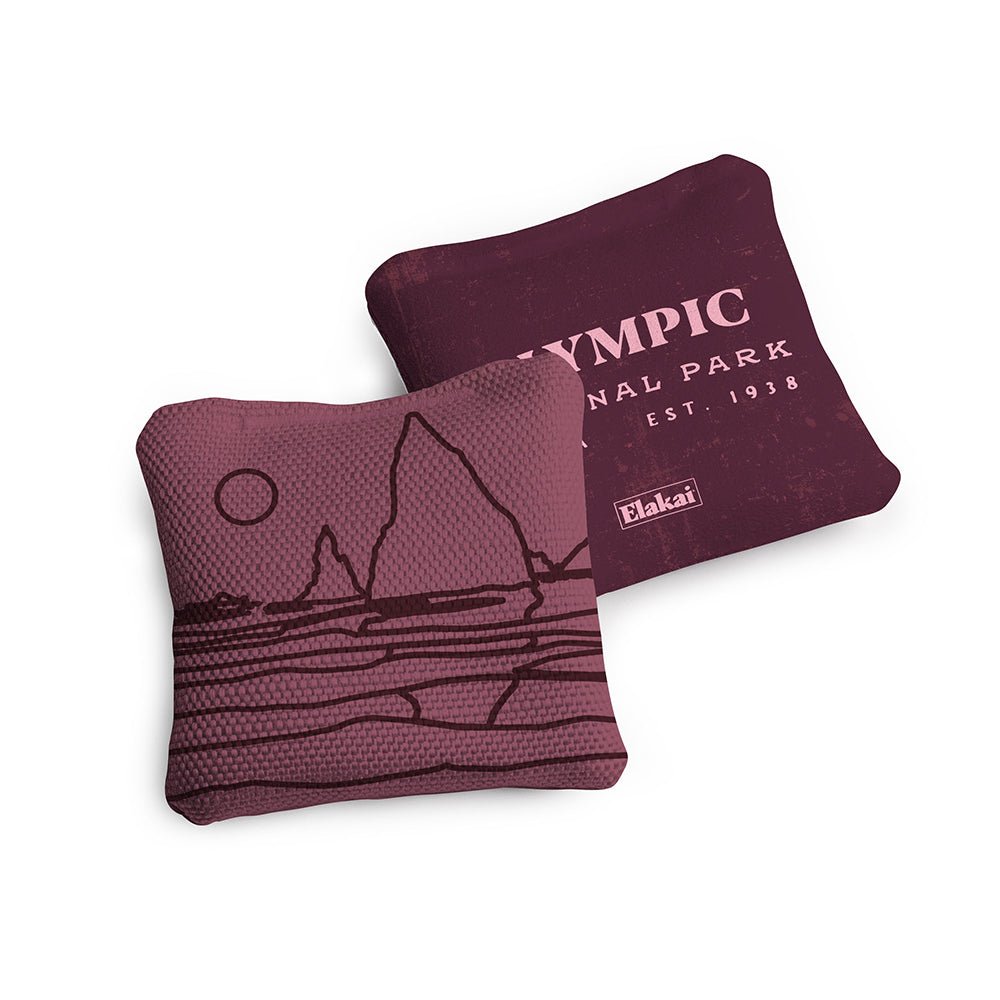 4-in Travel Dual-Sided Cornhole Bags | National Parks Collection