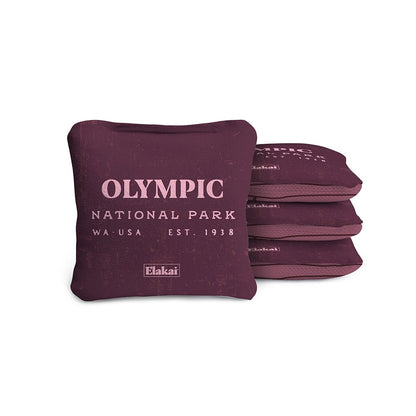 4-in Travel Dual-Sided Cornhole Bags | National Parks Collection