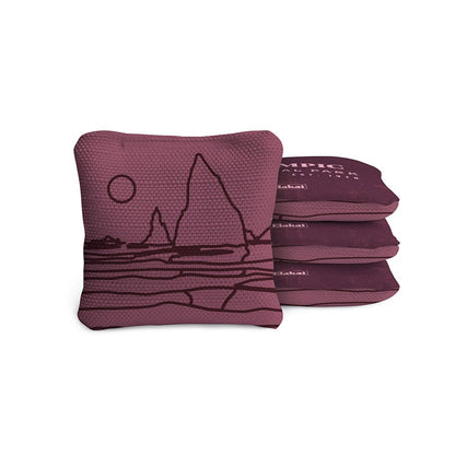 4-in Travel Dual-Sided Cornhole Bags | National Parks Collection