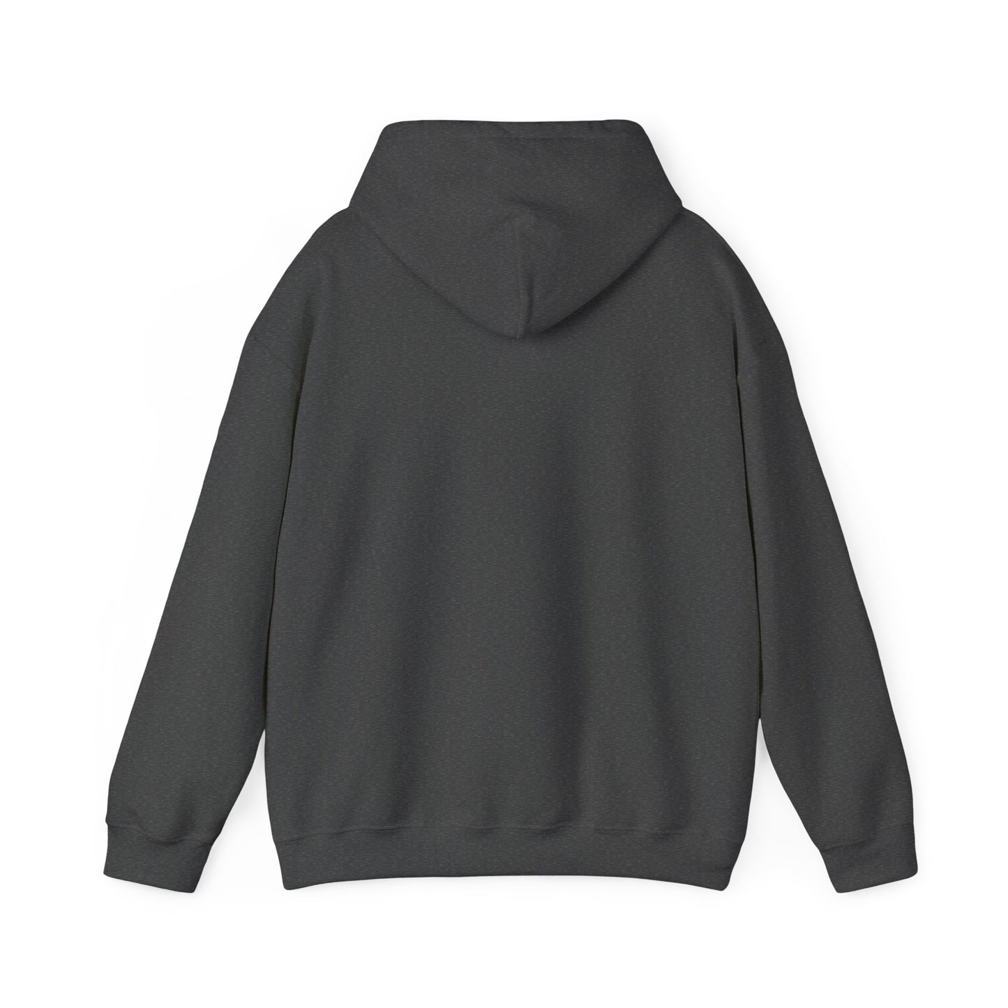Retro 'Nacho Overland & Outdoor' Hoodie – Vintage Stripes Outdoor Adventure Sweatshirt