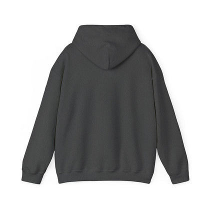 Retro 'Nacho Overland & Outdoor' Hoodie – Vintage Stripes Outdoor Adventure Sweatshirt