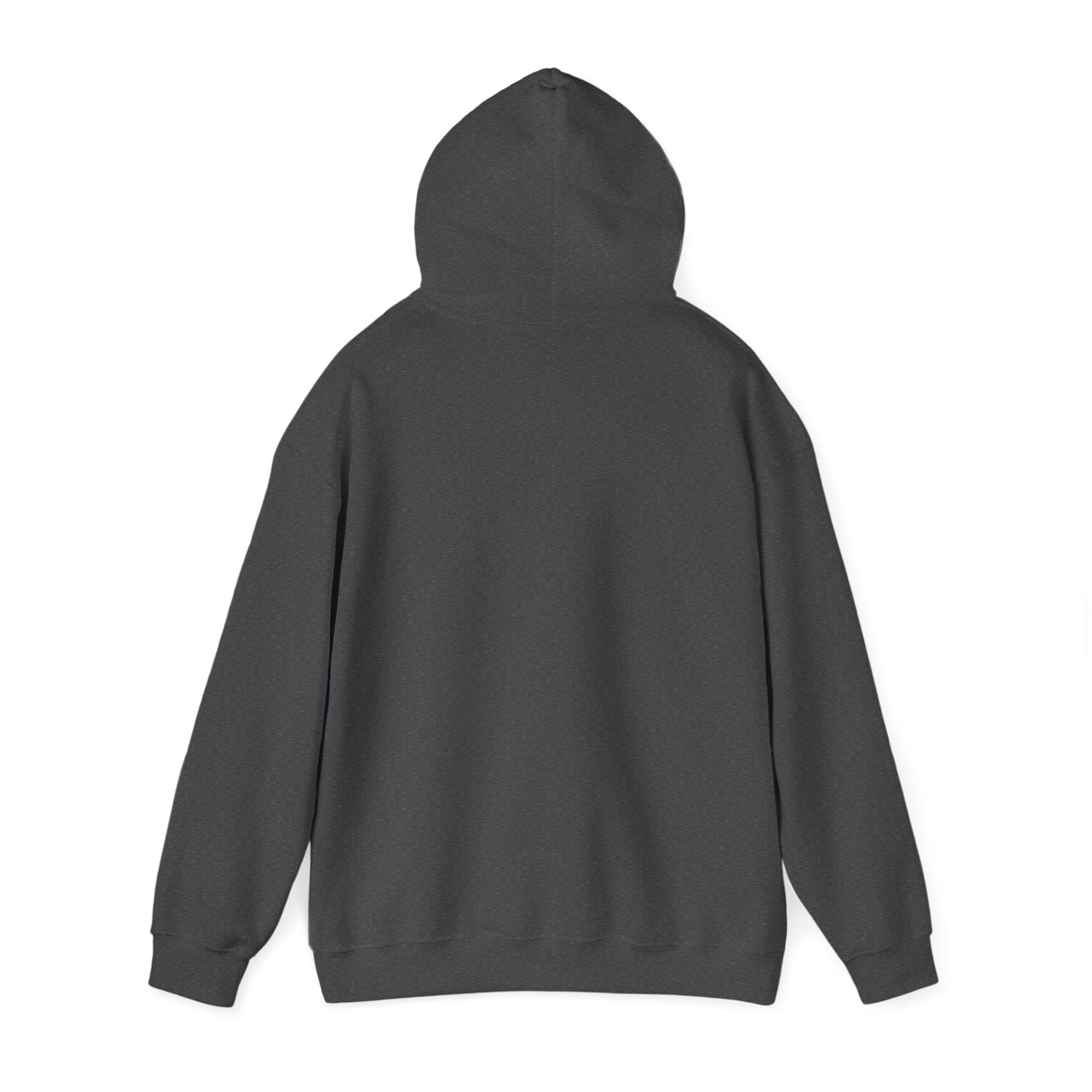 Retro 'Nacho Overland & Outdoor' Hoodie – Vintage Stripes Outdoor Adventure Sweatshirt