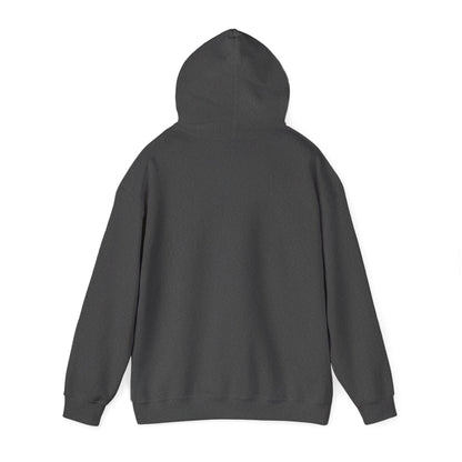 Retro 'Nacho Overland & Outdoor' Hoodie – Vintage Stripes Outdoor Adventure Sweatshirt