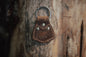 Kodiak Keyring