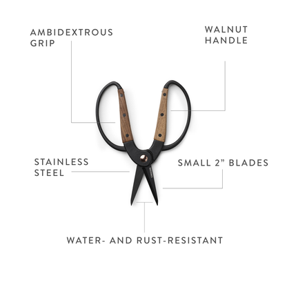 Barebones - Garden Scissors - Small