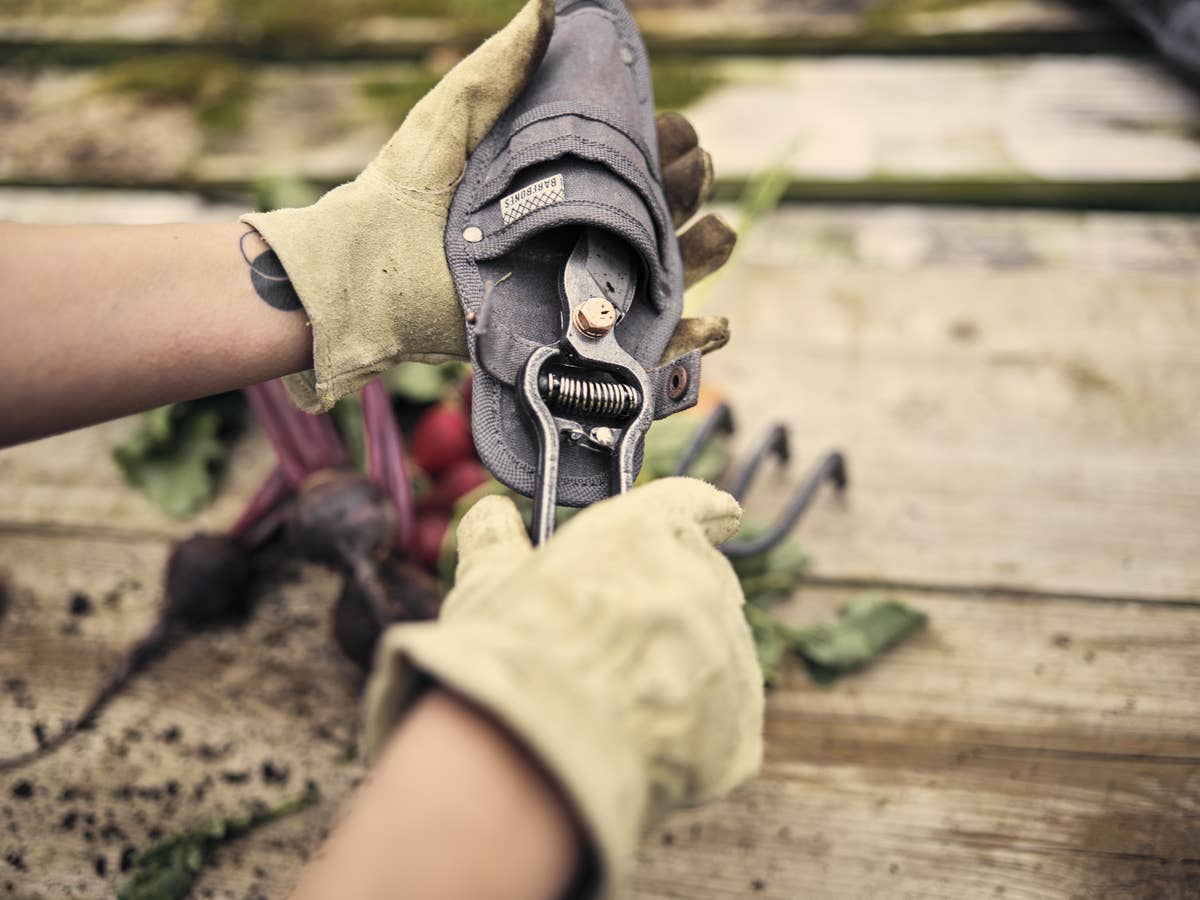 Barebones - Pruner with Sheath - Premium Gardening Tool